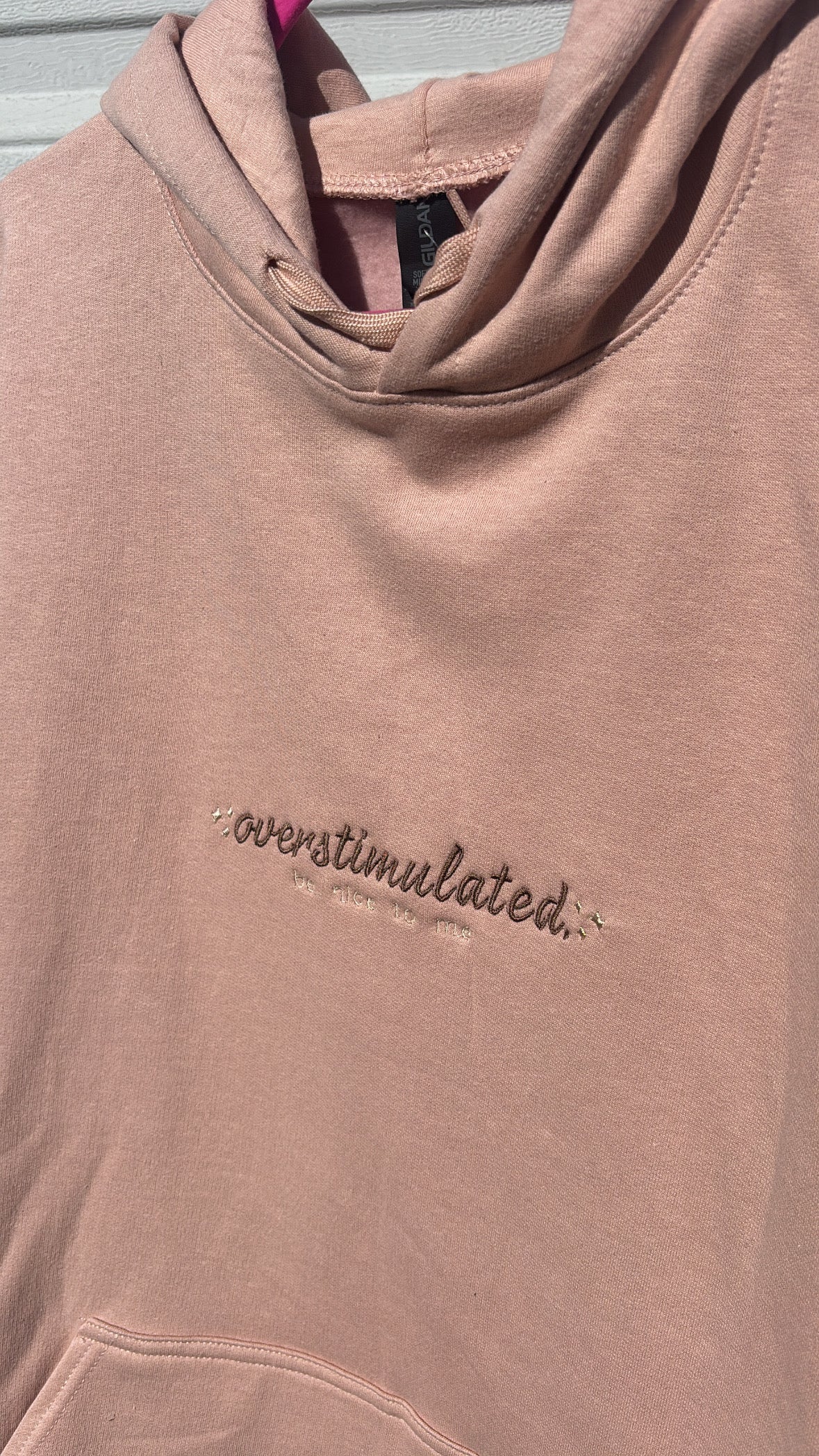 Overstimulated Be Nice To Me Embroidered Hoodie