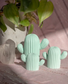 Cacti Friends. Cute. Boho Home Accents. Ring Holder.